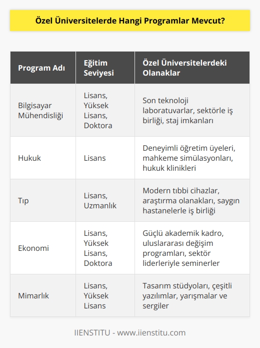Özel üniversiteler, genellikle çeşitli alanlarda lisans, yüksek lisans ve doktora programları sunmaktadır. Programlar arasında bilgisayar mühendisliği, mühendislik, öğretmenlik, hukuk, tıp, veterinerlik, ekonomi,   , müzik, tiyatro, mimarlık ve diğerleri bulunmaktadır.