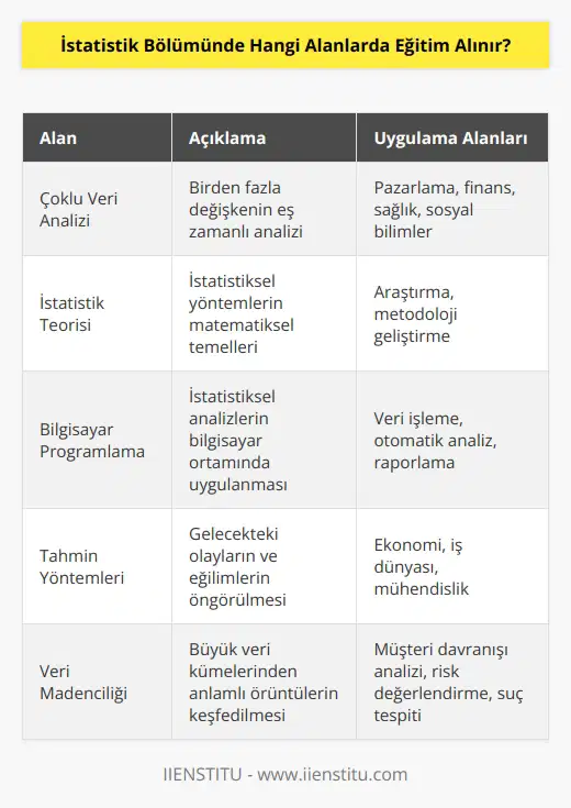 İstatistik Bölümünde, öğrenciler çoklu veri analizi, istatistik teorisi, bilgisayar programlama, tahmin yöntemleri, çoklu değişkenli istatistik, veri madenciliği, rasgele süreçler, çoklu regresyon, kuramsal veri analizi ve çoklu kriterli karar verme gibi alanlarda eğitim alırlar.