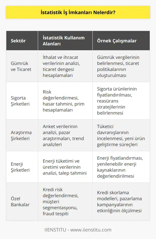 Bir konu üzerinde kullanılan girdilerin neticesinde elde edilen çıktıları doğru bir şekilde değerlendirilmesinde nden faydalanılır. Bu durum nin çok sayıda sektörde yer almasına olanak tanır. Gümrük v , sigorta şirketleri, araştırma şirketleri, enerji şirketleri, özel bankalar çalıma imkanlarına verilecek örneklerdir.