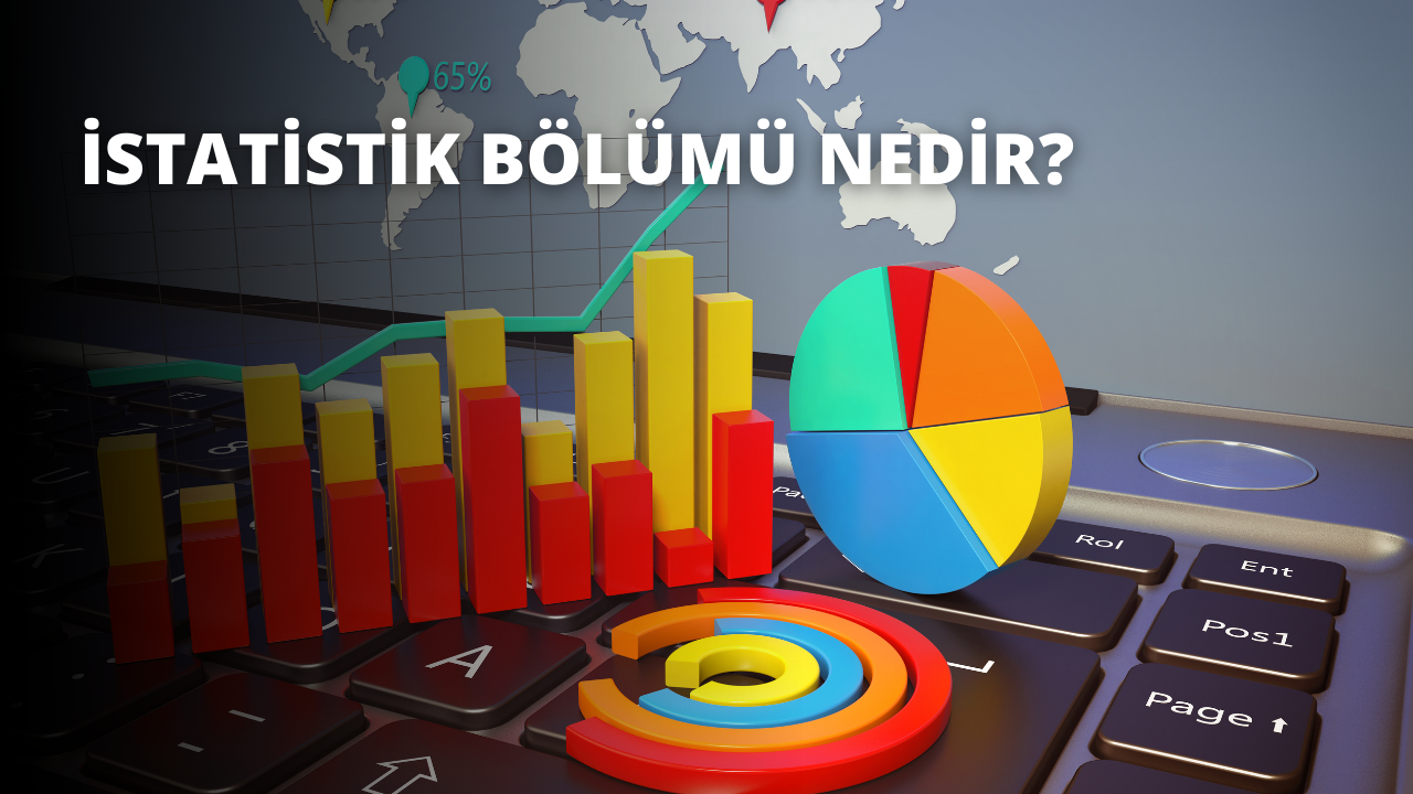 İstatistik  Bölümü Nedir?