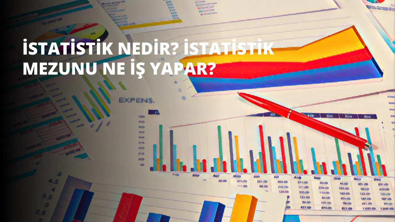 İstatistik Nedir? İstatistik Mezunu Ne İş Yapar?