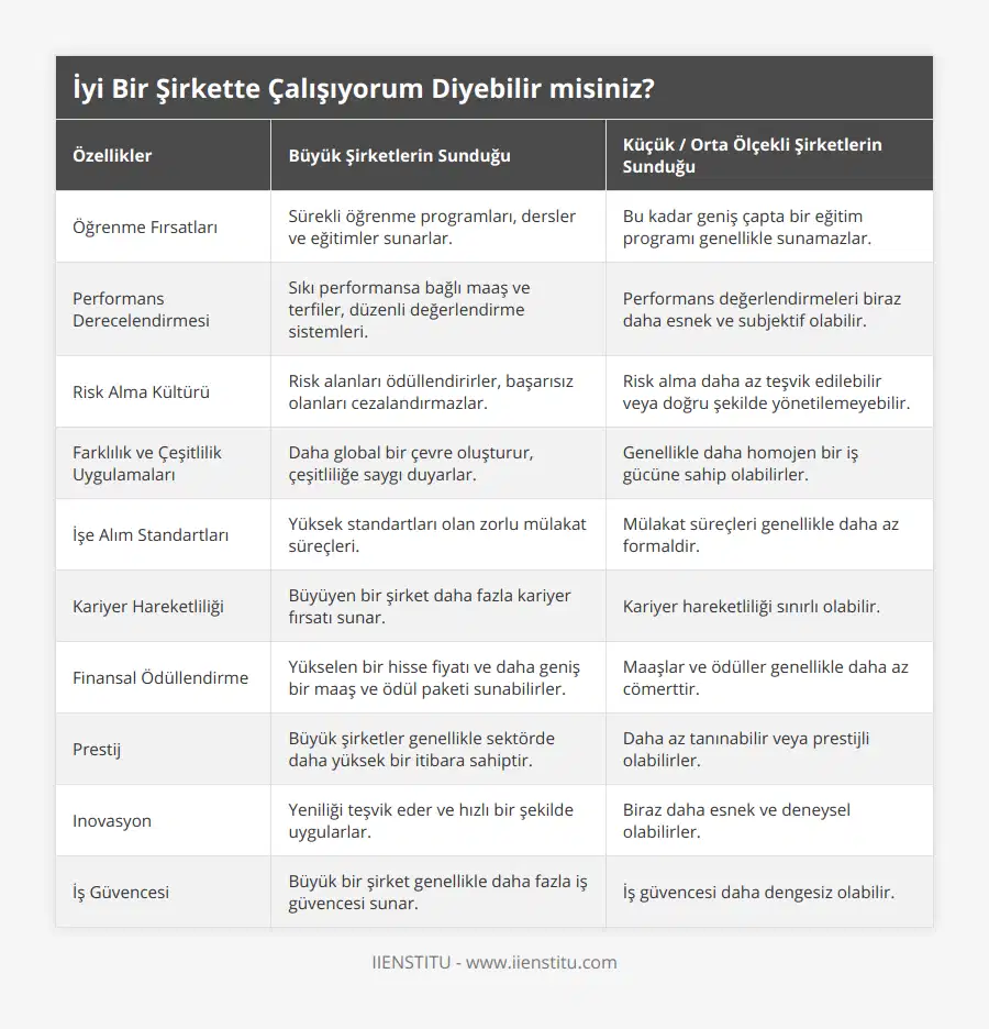 Öğrenme Fırsatları, Sürekli öğrenme programları, dersler ve eğitimler sunarlar, Bu kadar geniş çapta bir eğitim programı genellikle sunamazlar, Performans Derecelendirmesi, Sıkı performansa bağlı maaş ve terfiler, düzenli değerlendirme sistemleri, Performans değerlendirmeleri biraz daha esnek ve subjektif olabilir, Risk Alma Kültürü, Risk alanları ödüllendirirler, başarısız olanları cezalandırmazlar, Risk alma daha az teşvik edilebilir veya doğru şekilde yönetilemeyebilir, Farklılık ve Çeşitlilik Uygulamaları, Daha global bir çevre oluşturur, çeşitliliğe saygı duyarlar, Genellikle daha homojen bir iş gücüne sahip olabilirler, İşe Alım Standartları, Yüksek standartları olan zorlu mülakat süreçleri, Mülakat süreçleri genellikle daha az formaldir, Kariyer Hareketliliği, Büyüyen bir şirket daha fazla kariyer fırsatı sunar, Kariyer hareketliliği sınırlı olabilir, Finansal Ödüllendirme, Yükselen bir hisse fiyatı ve daha geniş bir maaş ve ödül paketi sunabilirler, Maaşlar ve ödüller genellikle daha az cömerttir, Prestij, Büyük şirketler genellikle sektörde daha yüksek bir itibara sahiptir, Daha az tanınabilir veya prestijli olabilirler, Inovasyon, Yeniliği teşvik eder ve hızlı bir şekilde uygularlar, Biraz daha esnek ve deneysel olabilirler, İş Güvencesi, Büyük bir şirket genellikle daha fazla iş güvencesi sunar, İş güvencesi daha dengesiz olabilir