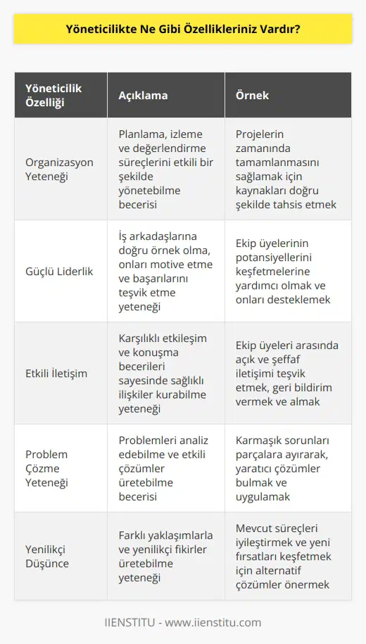 -Organizasyon yeteneği: Planlama, izleme ve değerlendirme gibi süreçleri etkili bir şekilde yönetebilmem. -Güçlü liderlik: İş arkadaşlarıma doğru örnek olarak, onları motive ederek ve onların başarısını teşvik ederek liderlik edebilmem. -  : Özellikle karşılıklı etkileşim ve konuşma becerilerim sayesinde,  kurabilmem. -Problem çözme yeteneği: Problemleri analiz edebilmem ve çözümler üretebilmem. -  : Farklı yaklaşımlarla ve yenilikçi fikirler üretebilmem. -Karar verme yeteneği: Verilere göre etkin ve hızlı kararlar alabilmem. -İşe odaklanma: Zorlayıcı koşullarda bile odaklanarak çalışabilmem.