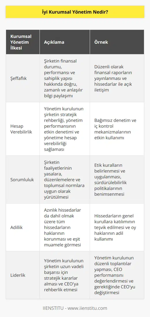 İyi bir kurumsal yönetim yöneticilerin zor sı, tavsiye vermesi ve katılmadıkları şeyleri belli etmeleri anlamına gelir. Eğer şirket CEO’sunun şirket ve paydaşların çıkarı adına performans gösterdiklerine inanmıyorlarsa CEO’yu işten bile çıkarabilirler.