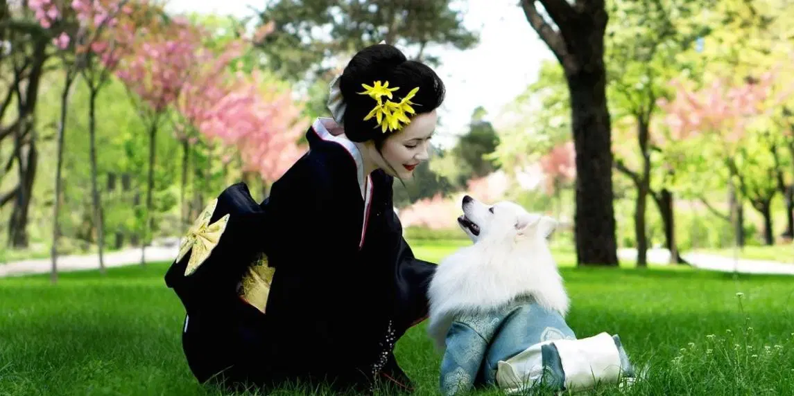 Japonların Uzun ve Mutlu Yaşam Sırları