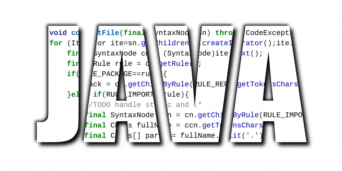 Java Web Programlama Dili Nedir?