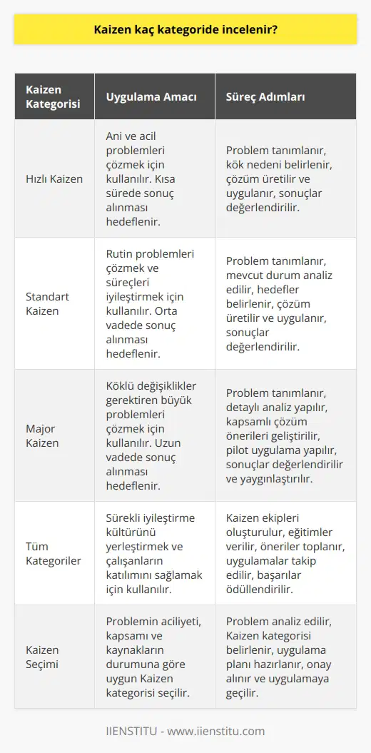 Hızlı, standart ve majör olmak üzere 3 kategoriye ayırabiliriz. Problemlerin ve işletmelerin ihtiyacına yönelik olarak biri seçilir ve uygulamaya alınır. Süreç adımları takip edilerek devamlı iyileşme sağlanmaya çalışılır.