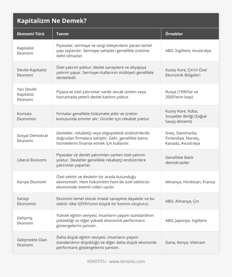 Kapitalist Ekonomi, Piyasalar, sermaye ve vergi ödeyenlerin parası temel yapı taşlarıdır Sermaye sahipleri genellikle üretime dahil olmazlar, ABD, İngiltere, Avustralya, Devlet-Kapitalist Ekonomi, Özel yatırım yoktur; devlet sanayilere ve altyapıya yatırım yapar Sermaye mallarının mülkiyeti genellikle devlettedir, Kuzey Kore, Çin'in Özel Ekonomik Bölgeleri, Yarı Devlet Kapitalist Ekonomi, Piyasa ve özel yatırımlar vardır ancak üretim veya harcamada yeterli devlet katılımı yoktur, Rusya (1990'lar ve 2000'lerin başı), Komuta Ekonomisi, Firmalar genellikle hükümete aittir ve üretim konusunda emirler alır Ürünler için rekabet yoktur, Kuzey Kore, Küba, Sovyetler Birliği (Soğuk Savaş dönemi), Sosyal Demokrat Ekonomi, Devletler, rekabetçi veya oligopolistik endüstrilerde doğrudan firmalara sahiptir Gelir, genellikle kamu hizmetlerini finanse etmek için kullanılır, İsveç, Danimarka, Finlandiya, Norveç, Kanada, Avustralya, Liberal Ekonomi, Piyasalar ve devlet yatırımları varken özel yatırım yoktur Devletler genellikle rekabetçi endüstrilere yatırımlar yaparlar, Genellikle Batılı demokrasiler, Karışık Ekonomi, Özel sektör ve devletin bir arada bulunduğu ekonomidir Hem hükümetin hem de özel sektörün ekonomide önemli rolleri vardır, Almanya, Hindistan, Fransa, Sanayi Ekonomisi, Ekonomi temel olarak imalat sanayiine dayalıdır ve bu sektör ülke GSYİH'sının büyük bir kısmını oluşturur, ABD, Almanya, Çin, Gelişmiş Ekonomi, Yüksek eğitim seviyesi, insanların yaşam standardının yüksekliği ve diğer yüksek ekonomik performans göstergelerini yansıtır, ABD, Japonya, İngiltere, Gelişmekte Olan Ekonomi, Daha düşük eğitim seviyesi, insanların yaşam standardının düşüklüğü ve diğer daha düşük ekonomik performans göstergelerini yansıtır, Gana, Kenya, Vietnam