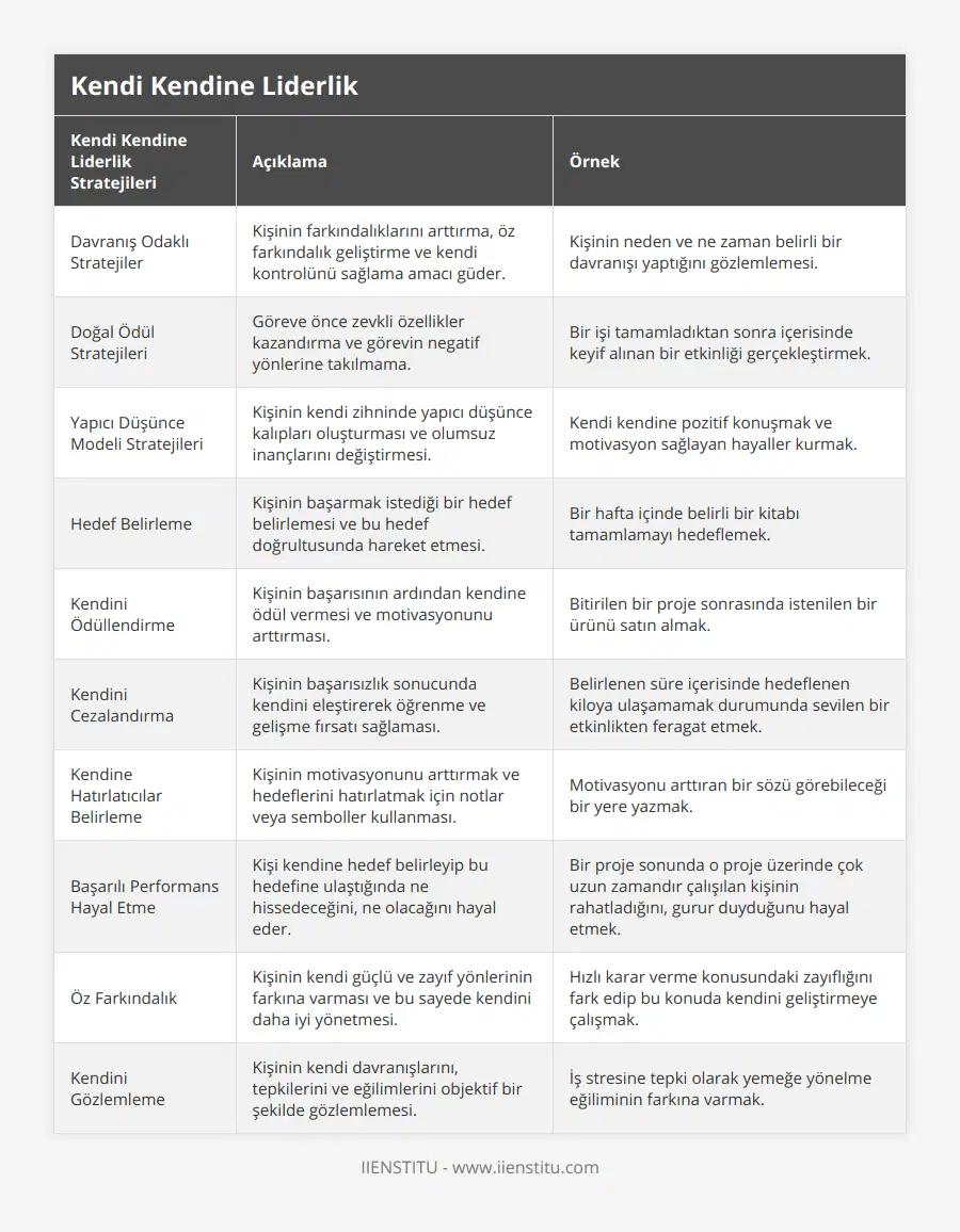 Davranış Odaklı Stratejiler, Kişinin farkındalıklarını arttırma, öz farkındalık geliştirme ve kendi kontrolünü sağlama amacı güder, Kişinin neden ve ne zaman belirli bir davranışı yaptığını gözlemlemesi, Doğal Ödül Stratejileri, Göreve önce zevkli özellikler kazandırma ve görevin negatif yönlerine takılmama, Bir işi tamamladıktan sonra içerisinde keyif alınan bir etkinliği gerçekleştirmek, Yapıcı Düşünce Modeli Stratejileri, Kişinin kendi zihninde yapıcı düşünce kalıpları oluşturması ve olumsuz inançlarını değiştirmesi, Kendi kendine pozitif konuşmak ve motivasyon sağlayan hayaller kurmak, Hedef Belirleme, Kişinin başarmak istediği bir hedef belirlemesi ve bu hedef doğrultusunda hareket etmesi, Bir hafta içinde belirli bir kitabı tamamlamayı hedeflemek, Kendini Ödüllendirme, Kişinin başarısının ardından kendine ödül vermesi ve motivasyonunu arttırması, Bitirilen bir proje sonrasında istenilen bir ürünü satın almak, Kendini Cezalandırma, Kişinin başarısızlık sonucunda kendini eleştirerek öğrenme ve gelişme fırsatı sağlaması, Belirlenen süre içerisinde hedeflenen kiloya ulaşamamak durumunda sevilen bir etkinlikten feragat etmek, Kendine Hatırlatıcılar Belirleme, Kişinin motivasyonunu arttırmak ve hedeflerini hatırlatmak için notlar veya semboller kullanması, Motivasyonu arttıran bir sözü görebileceği bir yere yazmak, Başarılı Performans Hayal Etme, Kişi kendine hedef belirleyip bu hedefine ulaştığında ne hissedeceğini, ne olacağını hayal eder, Bir proje sonunda o proje üzerinde çok uzun zamandır çalışılan kişinin rahatladığını, gurur duyduğunu hayal etmek, Öz Farkındalık, Kişinin kendi güçlü ve zayıf yönlerinin farkına varması ve bu sayede kendini daha iyi yönetmesi, Hızlı karar verme konusundaki zayıflığını fark edip bu konuda kendini geliştirmeye çalışmak , Kendini Gözlemleme, Kişinin kendi davranışlarını, tepkilerini ve eğilimlerini objektif bir şekilde gözlemlemesi, İş stresine tepki olarak yemeğe yönelme eğiliminin farkına varmak
