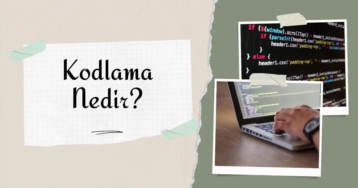Kodlama Nedir? Nasıl Öğrenilir?