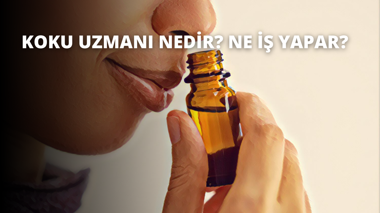 Koku Uzmanı Nedir? Ne İş Yapar?