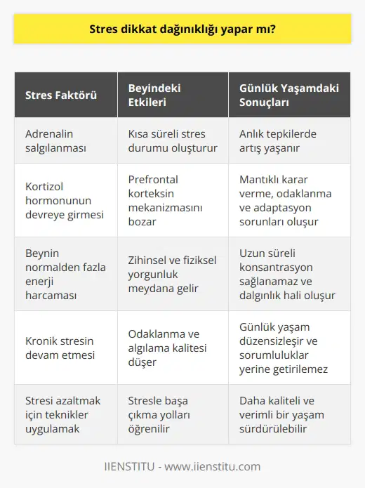 Stres ve Dikkat Dağınıklığı: Konsantrasyon Eksikliğinin Temel Etkeni Konsantrasyon, yapılan işe tüm dikkati vererek ve zihnin bütün algılarını kullanarak odaklanma sürecidir. Ancak günümüzde insanların yaşam kalitesini düşüren en büyük sorunlardan biri konsantrasyon eksikliğidir. Peki, stres dikkat dağınıklığı yapar mı? Stresin Beyindeki Etkileri Bilimsel araştırmalar, dikkat dağınıklığı veya konsantrasyon eksikliğinin temel etkeninin stres olduğunu göstermektedir. Beynimiz tehlike anında adrenalin salgılayarak vücudu stres durumunda tutar. Adrenalinin etkisi kısa sürede geçse de, stres halinin devam etmesi sonucu beyin kortizol hormonunu devreye sokar. Kortizol ve Prefontal Korteks Yoğun odaklanma sırasında beyinde prefontal korteks tam kapasite çalışır ve sağlıklı karar verme, odaklanma, başlanan işi bitirme ve çözüme ulaşma birey için daha kolay hale gelir. Ancak kortizolun vücutta sürekli olarak bulunması prefontal korteksin mekanizmasını bozar ve kişinin algılama ve odaklanma kalitesi düşer. Bu durumda mantıklı kararlar veremez ve kısa süreli hafıza problemleri ile adaptasyon sorunu yaşar. Zihinsel ve Fiziksel Yorgunluk Beyin stres anında normalden daha fazla enerji harcar ve kronik stres sonucunda zihinsel ve fiziksel yorgunluk oluşur. Sürekli yorgun düşen beyin odaklanmakta zorluk çeker ve birey uzun süre bir işle ilgilenemez. Bu yüzden sık sık dalgınlık hali oluşur ve başladığı işi bitirmekten kaçınır. Günlük Yaşamda Konsantrasyon Eksikliği Konsantrasyon eksikliği yaşayan kişi disiplini sağlayamaz ve günlük yaşamı düzensizleşir. Odaklanma sorunu yaşayan insan zihin meşguliyeti gerektiren işleri yerine getiremez ve dış çevreye yönelir. Bu durumda sorumluluklarını yerine getirmesi zorlaşır ve kaygı artışı yaşanır. Stresi Azaltarak Konsantrasyonu Arttırmak Konsantrasyon eksikliğinin aktif faktörü olan stresi azaltarak daha kaliteli ve verimli yaşam sürmek bazı tekniklerle mümkündür. Stres yönetmek zor değil, sadece stresle başa çıkma yollarını öğrenmeli ve huzurlu yaşama odaklanmalıyız. Bu süreçte uzmanlar tarafından sunulan destek programlarına başvurarak sağlıklı bir yaşam sürdürülebilir. Yazar: Kübra Sarıtay