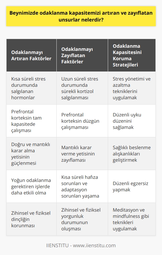 Odaklanma kapasitemizi etkileyen birincil faktör, strestir. Beyin, tehlike anında stres hormonları salgılar. Bu hormonlar, ilk etapta bizi daha iyi odaklanmaya hazırlar; ancak etkileri kısa süreli ve geçicidir. Stres durumu uzun süreli hale geldiğinde, beyinde kortizol hormonu salınır. Bu hormon, beynin prefrontal korteks bölgesinin tam kapasitede çalışmasını sağlar; doğru, mantıklı karar alma ve yoğun odaklanma gerektiren işlerde daha etkili olmayı sağlar. Ancak, sürekli kortizol salınımı beynin düzgün çalışmasını engeller. Prefrontal korteks, düzgün çalışmadığında, algılama ve odaklanma yeteneğimiz azalır. Mantıklı kararlar verme yetisi zayıflar, kısa süreli hafıza sorunları ve adaptasyon sorunları yaşanmaya başlar. Ayrıca sürekli stres durumu, beyinde enerjinin fazla harcanmasına ve dolayısıyla zihinsel ve fiziksel yorgunluk durumunun oluşmasına sebep olur. Bu durumda da odaklanma kabiliyeti azalır, işlere uzun süreli odaklanma yetisi zayıflar ve dikkat dağınıklığı yaşanır. Dolayısıyla, odaklanma yeteneğini artırmak ve azalmadan korumak için, stresi yönetme ve azaltma tekniklerinin uygulanması önemlidir. Bununla birlikte, odaklanma yeteneğini artırmada temel rol oynayan diğer faktörlerin de araştırılmasına ve bu faktörlere uygun stratejilerin geliştirilmesine ihtiyaç vardır. Örneğin, uyku düzeni, beslenme alışkanlıkları, düzenli egzersiz yapma alışkanlığı, meditasyon ve mindfulness gibi tekniklerin de odaklanma yeteneğini güçlendiren etkileri bulunmaktadır. Bu noktada, bireylerin kendi yaşam tarzlarına, ihtiyaçlarına ve hedeflerine uygun bir strateji belirlemeleri ve bu doğrultuda eyleme geçmeleri gerekmektedir. Nitekim, yaşam kalitesini artırma, yaşamdan zevk alma, başarılı bir yaşam sürme ve kendini disipline etme yeteneğine sahip olmanın temel faktörlerinden biri, odaklanma yeteneğini koruyabilmektir. Bu bağlamda, beyinde odaklanma kapasitemizi artıran ve zayıflatan unsurları doğru bir şekilde anlama ve bu unsurların üzerinde etkili bir kontrol sağlama yeteneği, yaşam kalitemizi ve başarı seviyemizi belirleyen temel faktörlerden biri olarak kabul edilebilir.