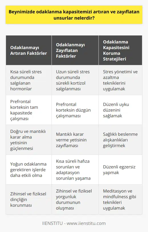 Odaklanma kapasitemizi etkileyen birincil faktör, strestir. Beyin, tehlike anında stres hormonları salgılar. Bu hormonlar, ilk etapta bizi daha iyi odaklanmaya hazırlar; ancak etkileri kısa süreli ve geçicidir. Stres durumu uzun süreli hale geldiğinde, beyinde kortizol hormonu salınır. Bu hormon, beynin prefrontal korteks bölgesinin tam kapasitede çalışmasını sağlar; doğru, mantıklı karar alma ve yoğun odaklanma gerektiren işlerde daha etkili olmayı sağlar. Ancak, sürekli kortizol salınımı beynin düzgün çalışmasını engeller. Prefrontal korteks, düzgün çalışmadığında, algılama ve odaklanma yeteneğimiz azalır. Mantıklı kararlar verme yetisi zayıflar, kısa süreli hafıza sorunları ve adaptasyon sorunları yaşanmaya başlar. Ayrıca sürekli stres durumu, beyinde enerjinin fazla harcanmasına ve dolayısıyla zihinsel ve fiziksel yorgunluk durumunun oluşmasına sebep olur. Bu durumda da odaklanma kabiliyeti azalır, işlere uzun süreli odaklanma yetisi zayıflar ve dikkat dağınıklığı yaşanır. Dolayısıyla, odaklanma yeteneğini artırmak ve azalmadan korumak için, stresi yönetme ve azaltma tekniklerinin uygulanması önemlidir. Bununla birlikte, odaklanma yeteneğini artırmada temel rol oynayan diğer faktörlerin de araştırılmasına ve bu faktörlere uygun stratejilerin geliştirilmesine ihtiyaç vardır. Örneğin, uyku düzeni, beslenme alışkanlıkları, düzenli egzersiz yapma alışkanlığı, meditasyon ve mindfulness gibi tekniklerin de odaklanma yeteneğini güçlendiren etkileri bulunmaktadır. Bu noktada, bireylerin kendi yaşam tarzlarına, ihtiyaçlarına ve hedeflerine uygun bir strateji belirlemeleri ve bu doğrultuda eyleme geçmeleri gerekmektedir. Nitekim, yaşam kalitesini artırma, yaşamdan zevk alma, başarılı bir yaşam sürme ve kendini disipline etme yeteneğine sahip olmanın temel faktörlerinden biri, odaklanma yeteneğini koruyabilmektir. Bu bağlamda, beyinde odaklanma kapasitemizi artıran ve zayıflatan unsurları doğru bir şekilde anlama ve bu unsurların üzerinde etkili bir kontrol sağlama yeteneği, yaşam kalitemizi ve başarı seviyemizi belirleyen temel faktörlerden biri olarak kabul edilebilir.