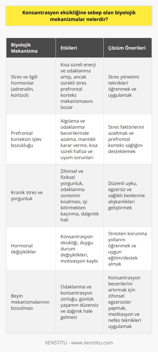 Konsantrasyon Eksikliği ve Biyolojik Mekanizmalar  Konsantrasyon eksikliğine sebep olan biyolojik mekanizmalar incelendiğinde, stresin ve ilgili hormonların önemli bir rol oynadığı görülmektedir. Stres durumunda beynimiz adrenalin salgılar ve bu enerji ve odaklanmada kısa süreli bir artış sağlar. Ancak, sürekli stresle karşılaşan bireylerde beynin kortizol hormonu salgılaması ve buna bağlı olarak prefrontal korteksin mekanizmasının bozulması odaklanma ve konsantrasyon zorluğu yaratmaktadır.  Prefrontal Korteksin İşlevi ve Bozulması  Yoğun odaklanma sırasında prefrontal korteks beyinde tam kapasite çalışarak bireyin sağlıklı karar verme, odaklanma ve çözüme ulaşma süreçlerini kolaylaştırır. Fakat sürekli stres ve kortizol varlığı bu bölgeyi olumsuz etkileyerek algılama ve odaklanma becerilerini azaltır. Bu durum bireyin mantıklı karar verme, kısa süreli hafıza ve uyum sorunları yaşamasına neden olur.  Kronik Stres, Yorgunluk ve Odaklanma Zorluğu  Beynin stres anında normalden daha fazla enerji harcadığı bilinmektedir. Bu nedenle, kronik stres sonucu oluşan zihinsel ve fiziksel yorgunluk, beyinin odaklanma becerisini düşürerek işle ilgilenme süresini kısaltır, başladığı işi bitirmekten kaçar ve dalgınlık hali yaşar. Konsantrasyon eksikliğiyle mücadele eden bireylerin günlük yaşamları düzensiz ve dağınık bir hale gelir.  Strese Bağlı Sorunlarda Önleyici Uygulamalar  Konsantrasyon eksikliğinin temel faktörü olan stresi azaltarak daha kaliteli ve verimli yaşam sürmek için bazı teknikler ve önleyici uygulamalar mevcuttur. Stres yönetmeyi öğrenmek ve uygulamak, stresten korunma yollarını öğrenmek ve huzurlu yaşamak için uygun eğitim ve destek almak önemlidir.  Sonuç olarak, strese bağlı hormonal değişikliklerin ve beyindeki mekanizmaların bozulmasının konsantrasyon eksikliğine yol açtığı görülmektedir. Özellikle kronik stresle başa çıkmayı öğrenmek ve odaklanma becerilerini artırmak konsantrasyonun kalitesini ve yaşamı daha verimli hale getirmeye yardımcı olacaktır.