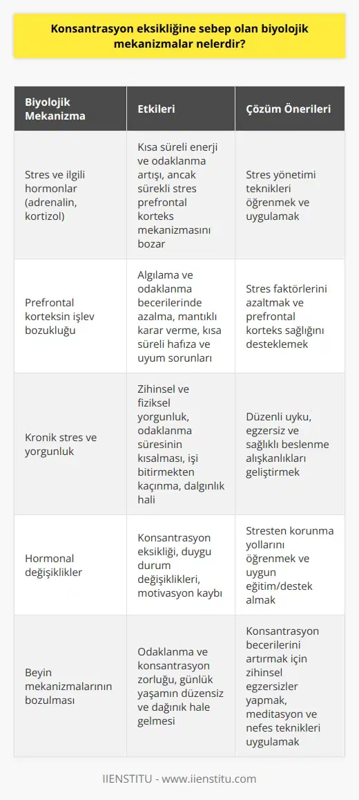 Konsantrasyon Eksikliği ve Biyolojik Mekanizmalar Konsantrasyon eksikliğine sebep olan biyolojik mekanizmalar incelendiğinde, stresin ve ilgili hormonların önemli bir rol oynadığı görülmektedir. Stres durumunda beynimiz adrenalin salgılar ve bu enerji ve odaklanmada kısa süreli bir artış sağlar. Ancak, sürekli stresle karşılaşan bireylerde beynin kortizol hormonu salgılaması ve buna bağlı olarak prefrontal korteksin mekanizmasının bozulması odaklanma ve konsantrasyon zorluğu yaratmaktadır. Prefrontal Korteksin İşlevi ve Bozulması Yoğun odaklanma sırasında prefrontal korteks beyinde tam kapasite çalışarak bireyin sağlıklı karar verme, odaklanma ve çözüme ulaşma süreçlerini kolaylaştırır. Fakat sürekli stres ve kortizol varlığı bu bölgeyi olumsuz etkileyerek algılama ve odaklanma becerilerini azaltır. Bu durum bireyin mantıklı karar verme, kısa süreli hafıza ve uyum sorunları yaşamasına neden olur. Kronik Stres, Yorgunluk ve Odaklanma Zorluğu Beynin stres anında normalden daha fazla enerji harcadığı bilinmektedir. Bu nedenle, kronik stres sonucu oluşan zihinsel ve fiziksel yorgunluk, beyinin odaklanma becerisini düşürerek işle ilgilenme süresini kısaltır, başladığı işi bitirmekten kaçar ve dalgınlık hali yaşar. Konsantrasyon eksikliğiyle mücadele eden bireylerin günlük yaşamları düzensiz ve dağınık bir hale gelir. Strese Bağlı Sorunlarda Önleyici Uygulamalar Konsantrasyon eksikliğinin temel faktörü olan stresi azaltarak daha kaliteli ve verimli yaşam sürmek için bazı teknikler ve önleyici uygulamalar mevcuttur. Stres yönetmeyi öğrenmek ve uygulamak, stresten korunma yollarını öğrenmek ve huzurlu yaşamak için uygun eğitim ve destek almak önemlidir. Sonuç olarak, strese bağlı hormonal değişikliklerin ve beyindeki mekanizmaların bozulmasının konsantrasyon eksikliğine yol açtığı görülmektedir. Özellikle kronik stresle başa çıkmayı öğrenmek ve odaklanma becerilerini artırmak konsantrasyonun kalitesini ve yaşamı daha verimli hale getirmeye yardımcı olacaktır.