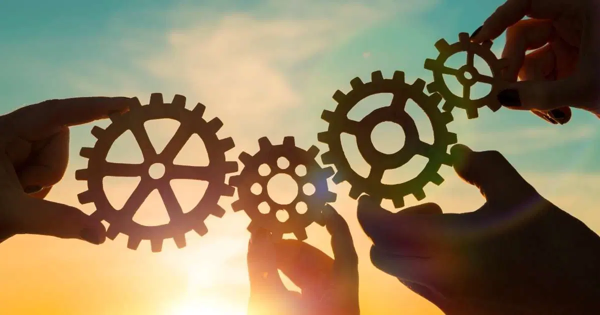 Kooperatif Nedir? Şirket ve Kooperatiflerin Farkı Nedir?