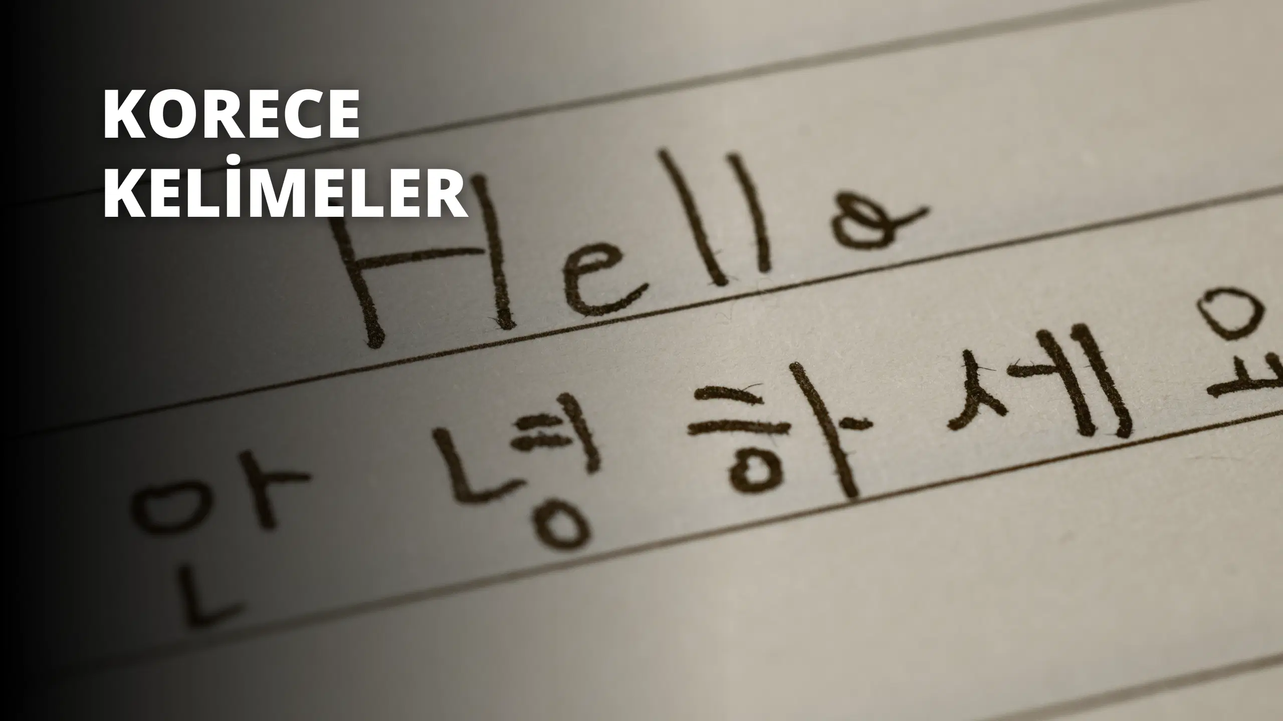 Korece Kelimeler Nelerdir?