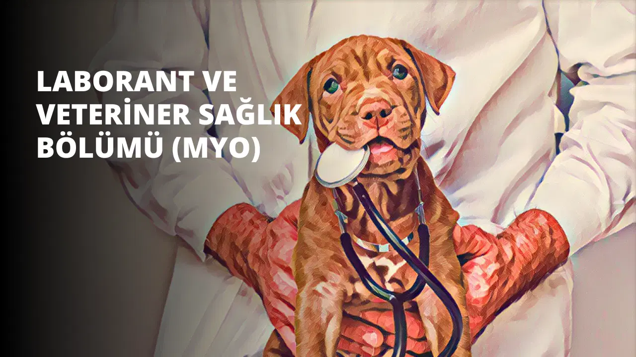 Laborant ve Veteriner Sağlık Bölümü (MYO)