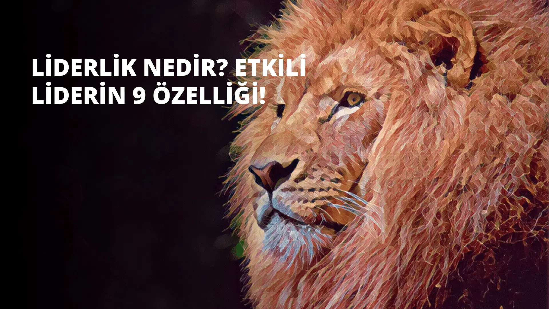 Liderlik Nedir? Etkili Liderin 9 Özelliği!