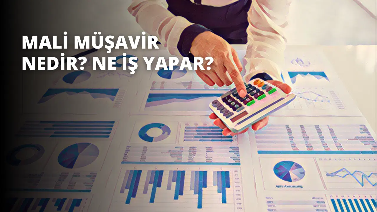 Mali Müşavir Nedir? Ne İş Yapar?