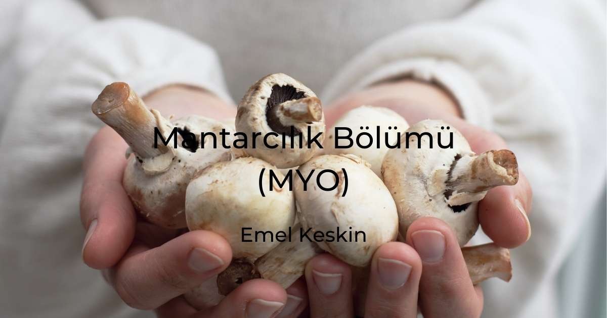Mantarcılık Bölümü (MYO)