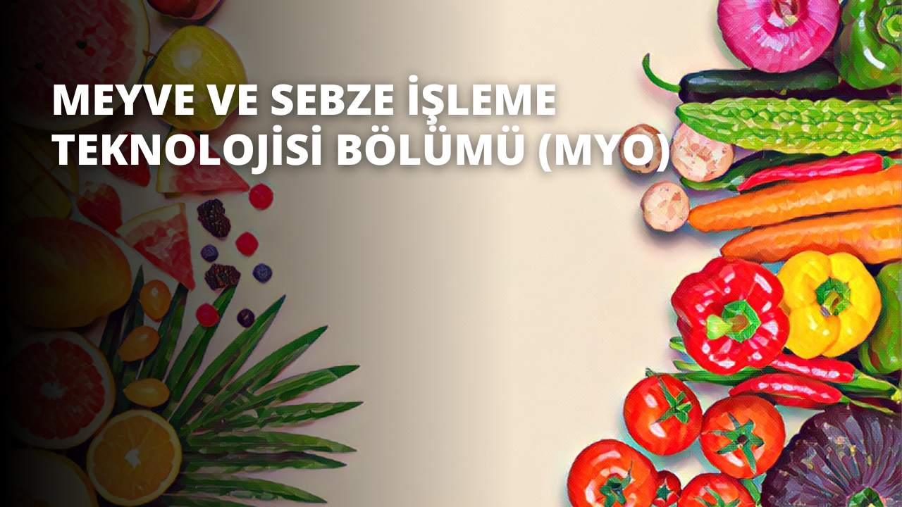 Meyve ve Sebze İşleme Teknolojisi Bölümü (MYO)