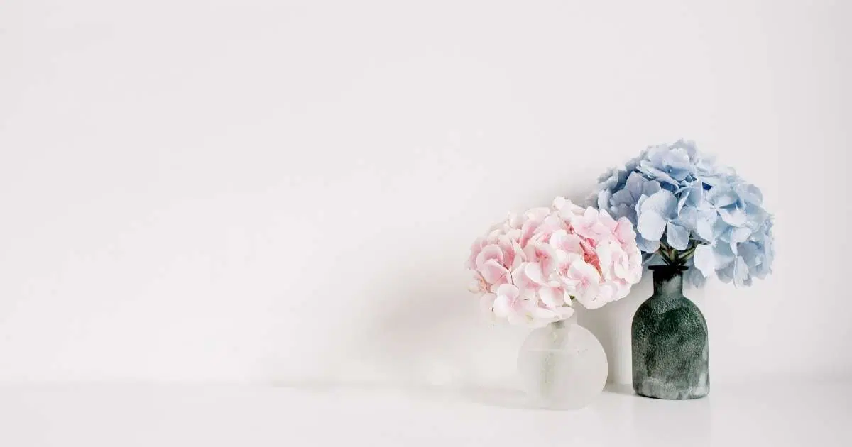 Minimalizm Nedir? Nasıl Uygulanır?