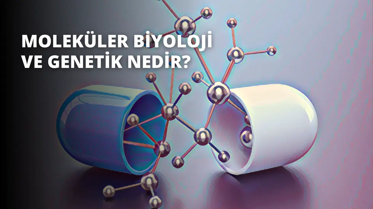 Moleküler Biyoloji ve Genetik Nedir?