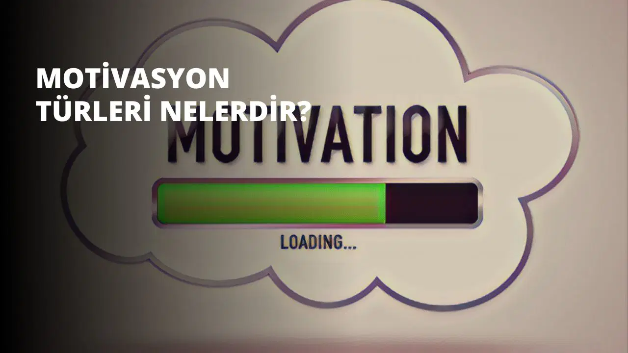 Motivasyon Türleri Nelerdir?