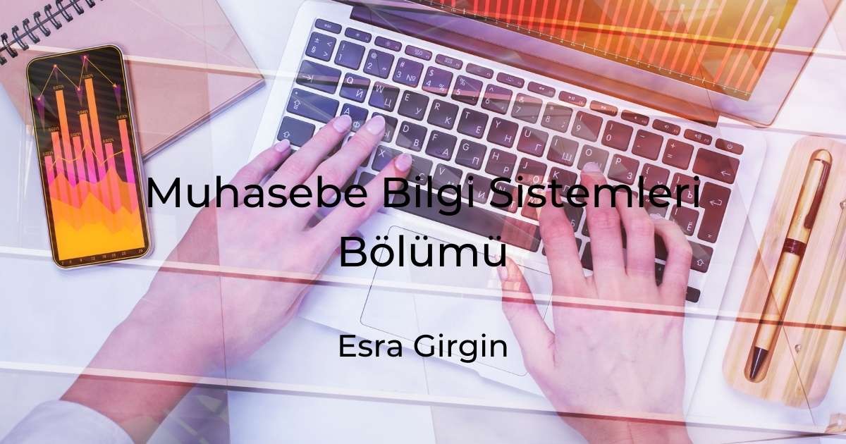 Muhasebe Bilgi Sistemleri Bölümü