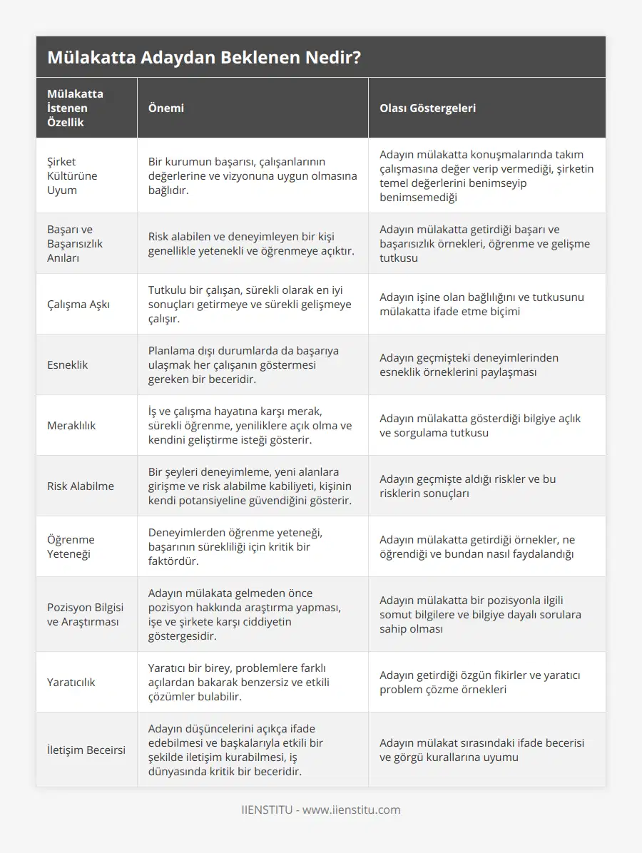 Şirket Kültürüne Uyum, Bir kurumun başarısı, çalışanlarının değerlerine ve vizyonuna uygun olmasına bağlıdır, Adayın mülakatta konuşmalarında takım çalışmasına değer verip vermediği, şirketin temel değerlerini benimseyip benimsemediği, Başarı ve Başarısızlık Anıları, Risk alabilen ve deneyimleyen bir kişi genellikle yetenekli ve öğrenmeye açıktır, Adayın mülakatta getirdiği başarı ve başarısızlık örnekleri, öğrenme ve gelişme tutkusu, Çalışma Aşkı, Tutkulu bir çalışan, sürekli olarak en iyi sonuçları getirmeye ve sürekli gelişmeye çalışır, Adayın işine olan bağlılığını ve tutkusunu mülakatta ifade etme biçimi, Esneklik, Planlama dışı durumlarda da başarıya ulaşmak her çalışanın göstermesi gereken bir beceridir, Adayın geçmişteki deneyimlerinden esneklik örneklerini paylaşması, Meraklılık, İş ve çalışma hayatına karşı merak, sürekli öğrenme, yeniliklere açık olma ve kendini geliştirme isteği gösterir, Adayın mülakatta gösterdiği bilgiye açlık ve sorgulama tutkusu, Risk Alabilme, Bir şeyleri deneyimleme, yeni alanlara girişme ve risk alabilme kabiliyeti, kişinin kendi potansiyeline güvendiğini gösterir, Adayın geçmişte aldığı riskler ve bu risklerin sonuçları, Öğrenme Yeteneği, Deneyimlerden öğrenme yeteneği, başarının sürekliliği için kritik bir faktördür, Adayın mülakatta getirdiği örnekler, ne öğrendiği ve bundan nasıl faydalandığı, Pozisyon Bilgisi ve Araştırması, Adayın mülakata gelmeden önce pozisyon hakkında araştırma yapması, işe ve şirkete karşı ciddiyetin göstergesidir, Adayın mülakatta bir pozisyonla ilgili somut bilgilere ve bilgiye dayalı sorulara sahip olması, Yaratıcılık, Yaratıcı bir birey, problemlere farklı açılardan bakarak benzersiz ve etkili çözümler bulabilir, Adayın getirdiği özgün fikirler ve yaratıcı problem çözme örnekleri, İletişim Beceirsi, Adayın düşüncelerini açıkça ifade edebilmesi ve başkalarıyla etkili bir şekilde iletişim kurabilmesi, iş dünyasında kritik bir beceridir, Adayın mülakat sırasındaki ifade becerisi ve görgü kurallarına uyumu