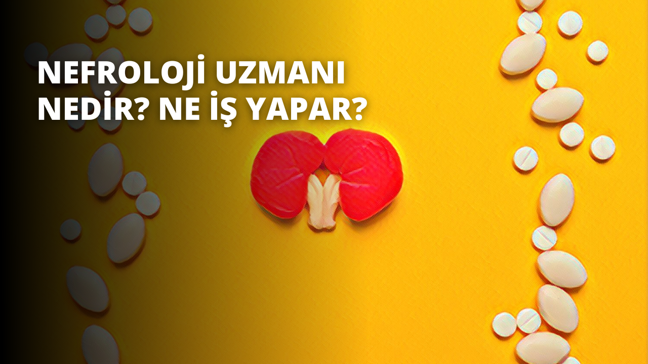 Nefroloji Uzmanı Nedir? Ne İş Yapar?