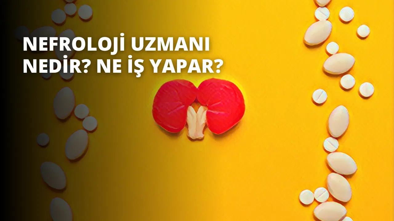 Nefroloji Uzmanı Nedir? Ne İş Yapar?