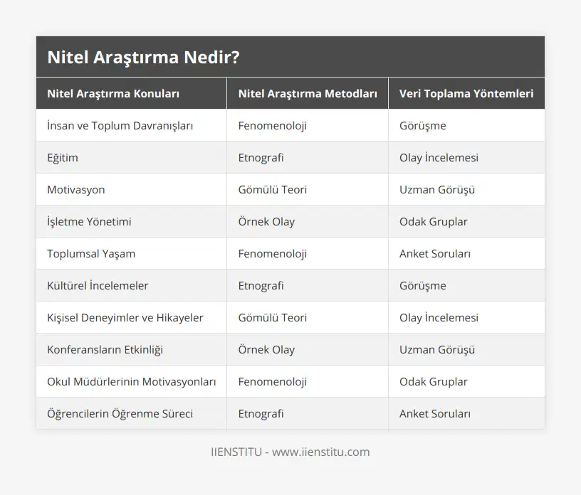 İnsan ve Toplum Davranışları, Fenomenoloji, Görüşme, Eğitim, Etnografi, Olay İncelemesi, Motivasyon, Gömülü Teori, Uzman Görüşü, İşletme Yönetimi, Örnek Olay, Odak Gruplar, Toplumsal Yaşam, Fenomenoloji, Anket Soruları, Kültürel İncelemeler, Etnografi, Görüşme, Kişisel Deneyimler ve Hikayeler, Gömülü Teori, Olay İncelemesi, Konferansların Etkinliği, Örnek Olay, Uzman Görüşü, Okul Müdürlerinin Motivasyonları, Fenomenoloji, Odak Gruplar, Öğrencilerin Öğrenme Süreci, Etnografi, Anket Soruları