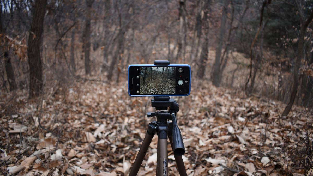 Ödüllü En İyi Kısa Filmler