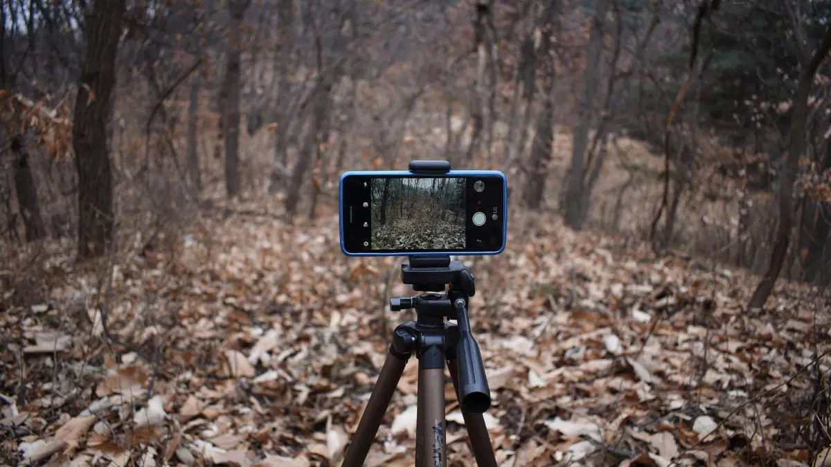 Ödüllü En İyi Kısa Filmler