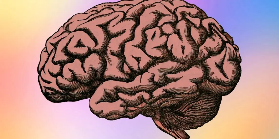 Öğrenmeyi Öğrenme Nedir?