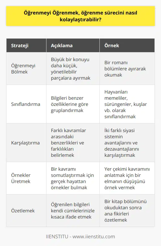 Öğrenmeyi Öğrenmek, öğrenme sürecini kolaylaştırmak için çeşitli stratejiler sunar. Bunlar arasında öğrenmeyi bölmek, sınıflandırma, karşılaştırma, örnekler üretmek, vurgulamak, sorgulamak ve özetlemek gibi stratejiler yer alır. Ayrıca, öğrenmeyi daha kolay hale getirebilmek için günlük olarak küçük kazançlar elde etmek, etkili not almak, konuların derinliğine inmek, çalışma arkadaşlarını kullanmak, öğretmenlerden yardım almak ve öğrenmeyi sık sık özetlemek de etkili stratejiler arasındadır.
