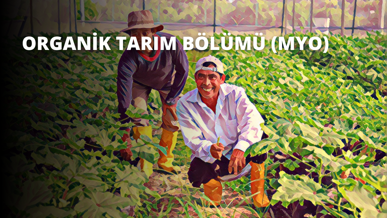Organik Tarım Bölümü (MYO)