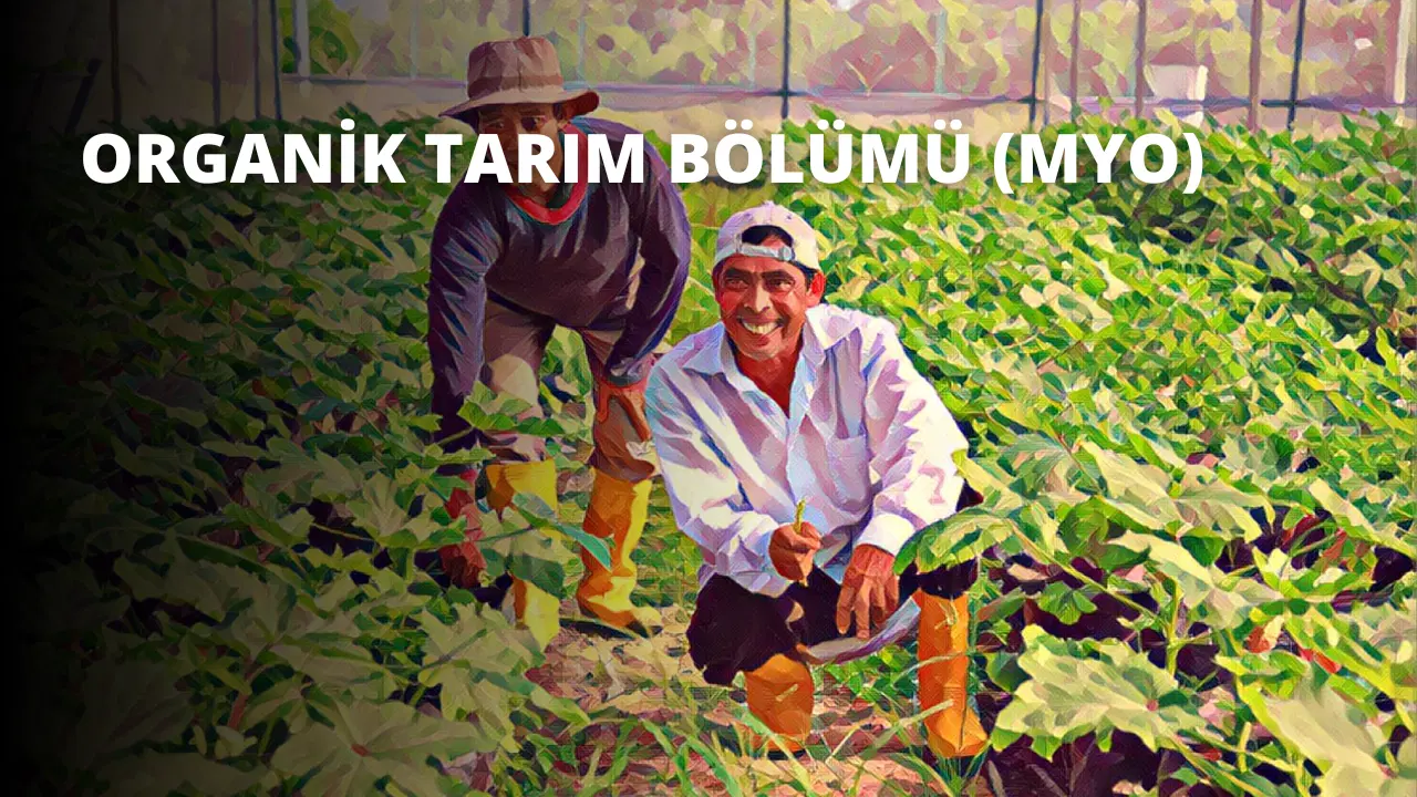 Organik Tarım Bölümü (MYO)