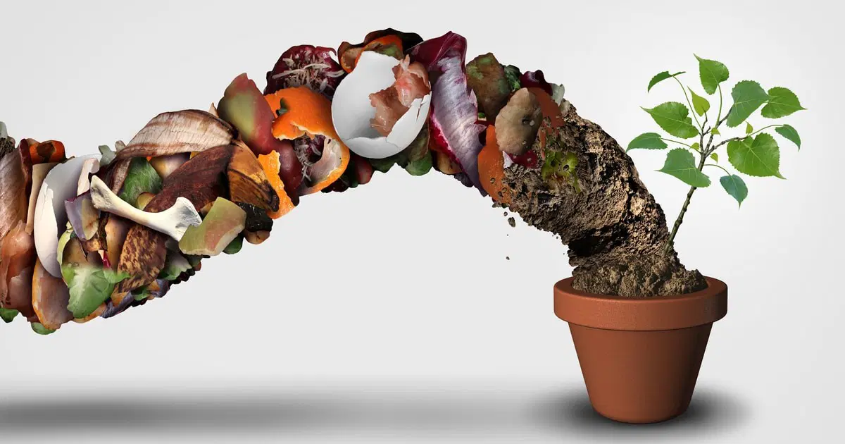 Organik Tarım İçin Kompost