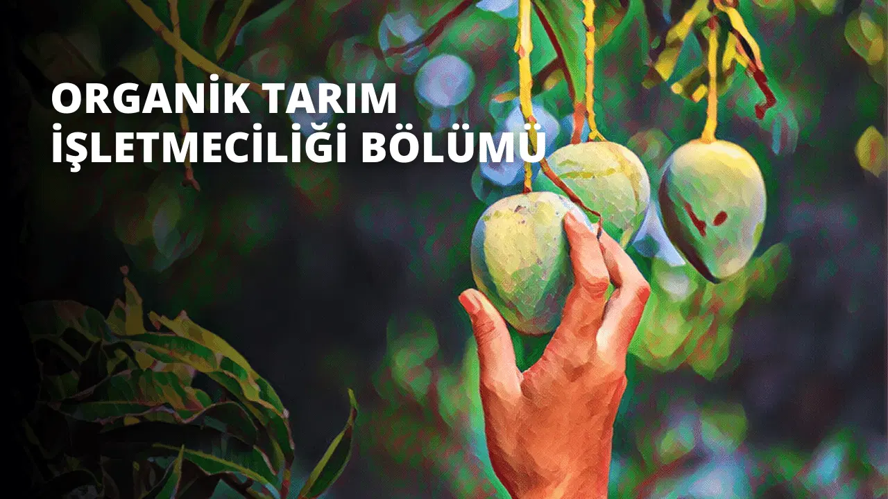 Organik Tarım İşletmeciliği Bölümü
