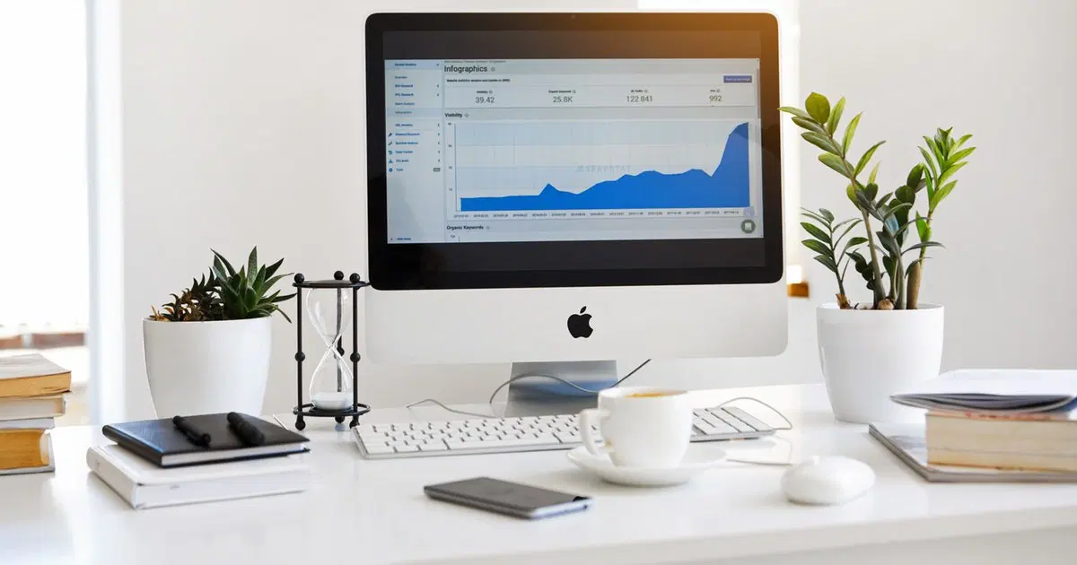 Organik Trafik Nedir?