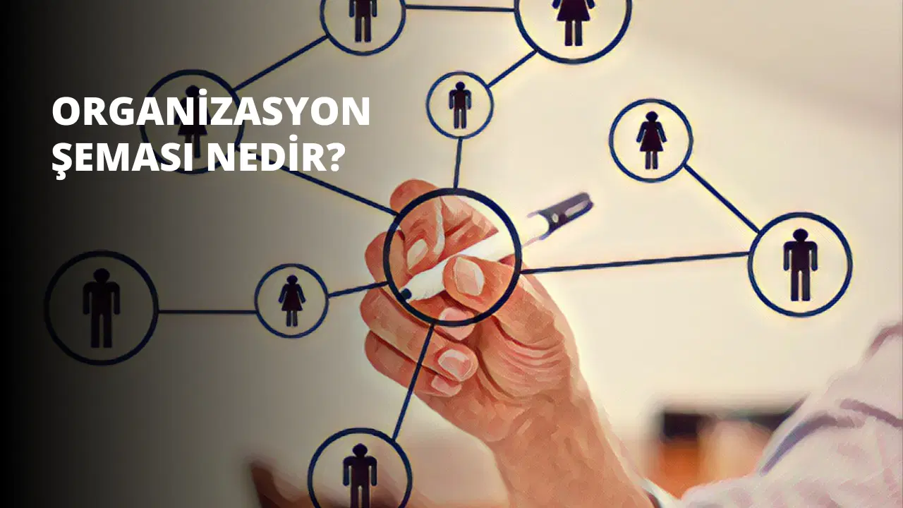 Organizasyon Şeması Nedir?