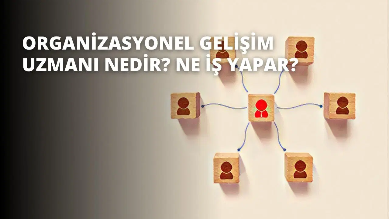 Organizasyonel Gelişim Uzmanı Nedir? Ne İş Yapar?