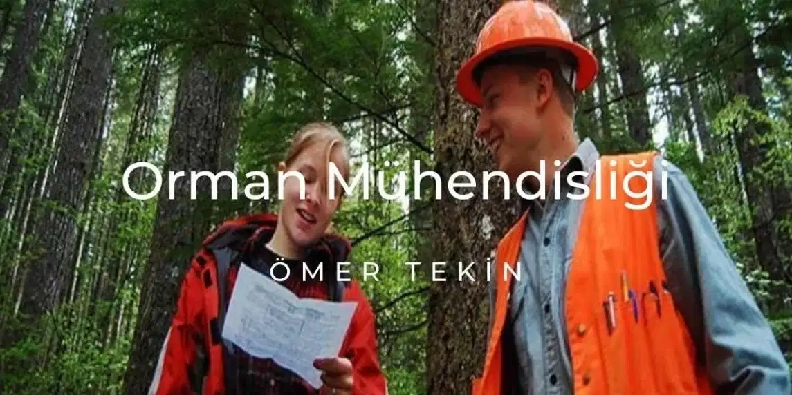 Orman Mühendisliği Nedir?