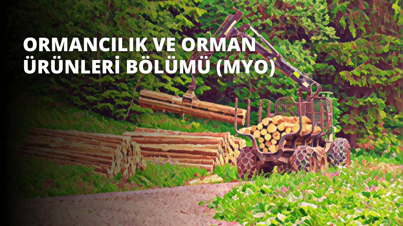 Ormancılık ve Orman Ürünleri Bölümü (MYO)