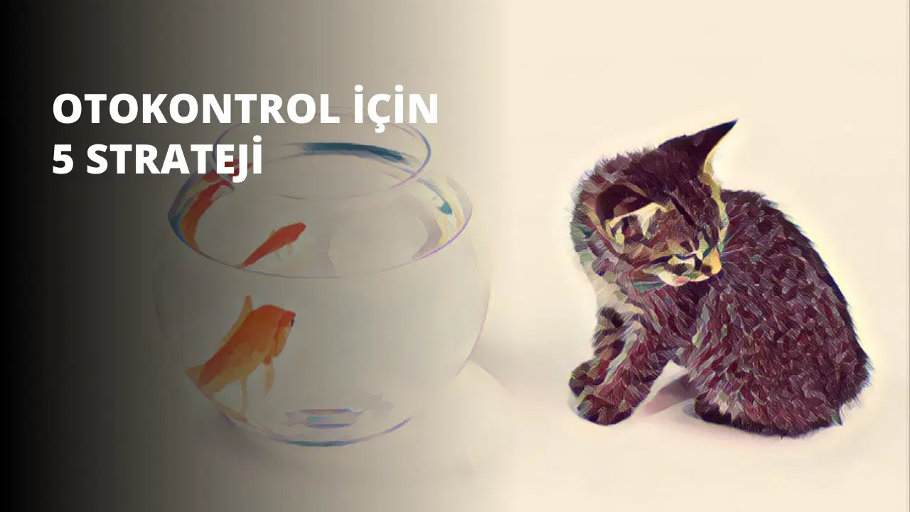 Otokontrol İçin 5 Strateji