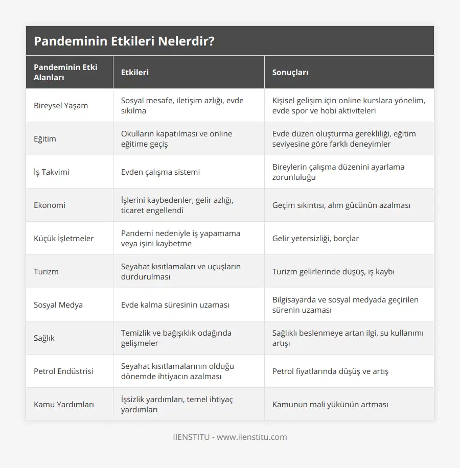 Bireysel Yaşam, Sosyal mesafe, iletişim azlığı, evde sıkılma, Kişisel gelişim için online kurslara yönelim, evde spor ve hobi aktiviteleri, Eğitim, Okulların kapatılması ve online eğitime geçiş, Evde düzen oluşturma gerekliliği, eğitim seviyesine göre farklı deneyimler, İş Takvimi, Evden çalışma sistemi, Bireylerin çalışma düzenini ayarlama zorunluluğu, Ekonomi, İşlerini kaybedenler, gelir azlığı, ticaret engellendi, Geçim sıkıntısı, alım gücünün azalması, Küçük İşletmeler, Pandemi nedeniyle iş yapamama veya işini kaybetme, Gelir yetersizliği, borçlar, Turizm, Seyahat kısıtlamaları ve uçuşların durdurulması, Turizm gelirlerinde düşüş, iş kaybı, Sosyal Medya, Evde kalma süresinin uzaması, Bilgisayarda ve sosyal medyada geçirilen sürenin uzaması, Sağlık, Temizlik ve bağışıklık odağında gelişmeler, Sağlıklı beslenmeye artan ilgi, su kullanımı artışı, Petrol Endüstrisi, Seyahat kısıtlamalarının olduğu dönemde ihtiyacın azalması, Petrol fiyatlarında düşüş ve artış, Kamu Yardımları, İşsizlik yardımları, temel ihtiyaç yardımları, Kamunun mali yükünün artması